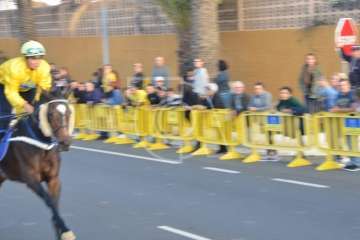 Carreras de caballo de San Gregorio Taumaturgo 2018